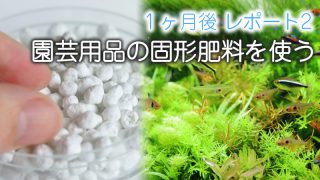 Thumbnail of post image 182